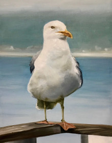 Seagull
